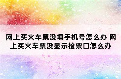 网上买火车票没填手机号怎么办 网上买火车票没显示检票口怎么办